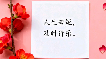 最精辟的情感语录,好句摘抄大全(二年级)