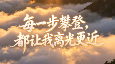 女人努力工作发朋友圈,最近网上很火的一句话