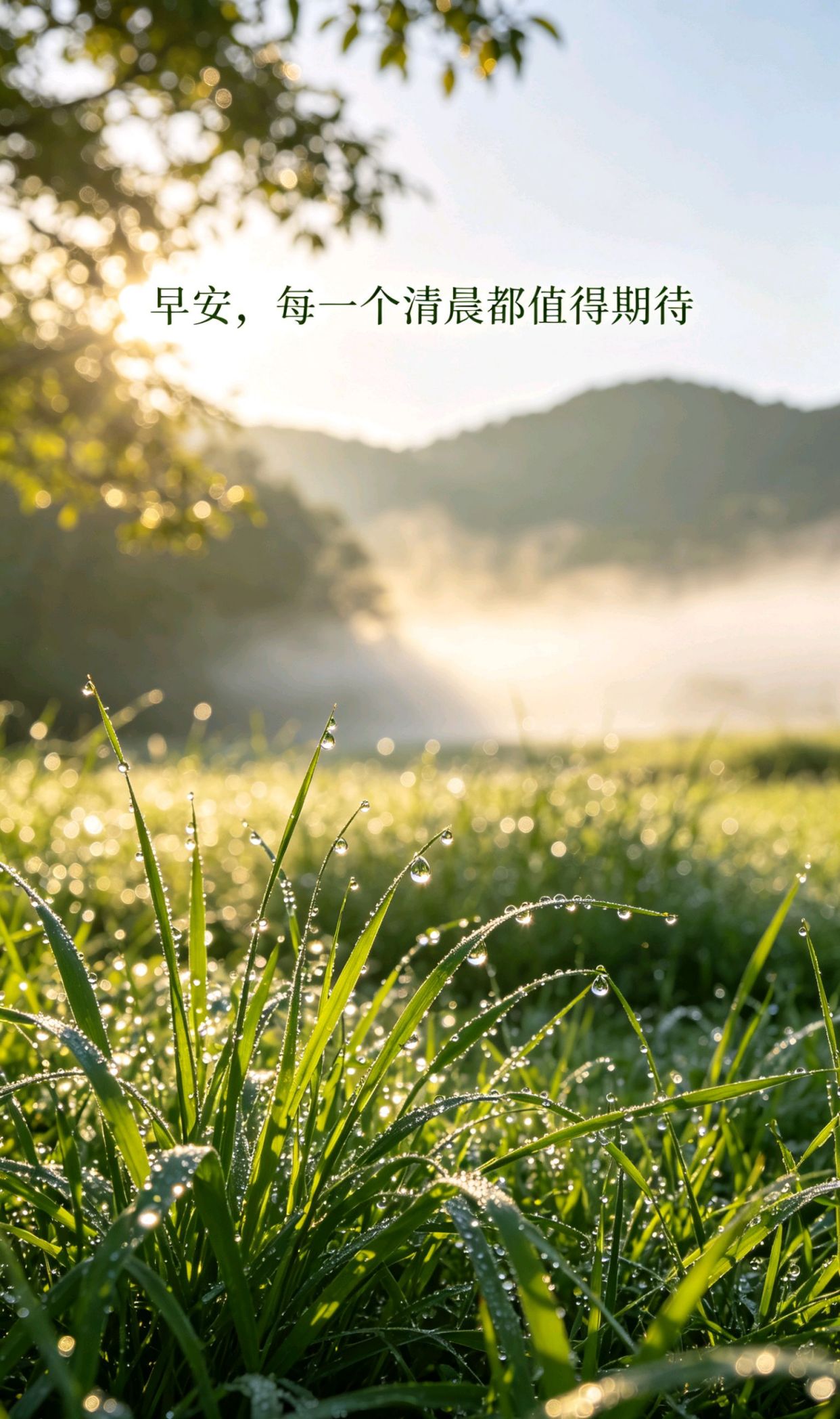6个字高雅佳句,高情商幽默撩妹100句