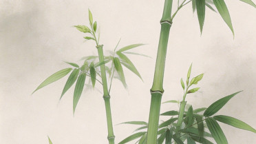 看透人心的寒心语录，消除担心的最好方法