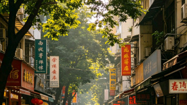 《作文金句800例》,二年级好词好句大全