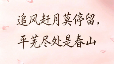 点赞最经典十句话,情感的句子经典语句